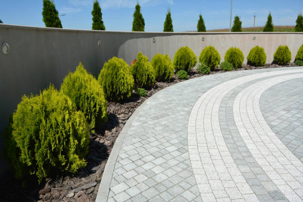 Best Best Driveway Pavers  in Mesa, AZ
